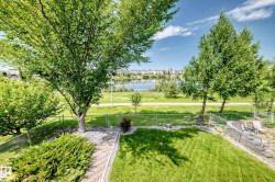 Expansive green lawn framed by mature trees - 
