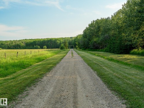 Long gravel driveway bordered by manicured lawn and mature trees, extending towards a distant wooded area - 58227 Range Rd 70 A, Rural St. Paul County, AB - Outdoor With View
