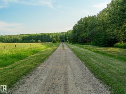 Long gravel driveway bordered by manicured lawn and mature trees, extending towards a distant wooded area - 