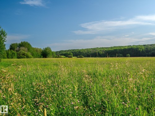 Expansive natural landscape featuring a broad field of green foliage, distant tree lines, and a clear sky overhead - 58227 Range Rd 70 A, Rural St. Paul County, AB - Outdoor With View