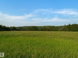 Expansive green field featuring natural grasses, tree lines, and distant rolling hills - 