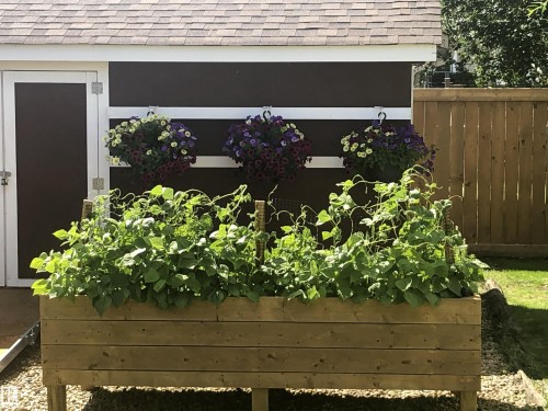 91 Amherst Crescent, St. Albert, AB - Outdoor