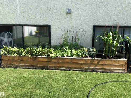 91 Amherst Crescent, St. Albert, AB - Outdoor