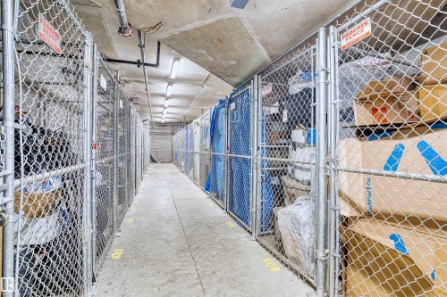 Storage area featuring concrete flooring and ceiling, multiple chain-link storage units, and fluorescent lighting - #317 3719 Whitelaw Ln Nw, Edmonton, AB - Indoor With Storage