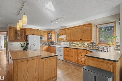 711 Butterworth Drive Nw, Edmonton, AB - Indoor Photo Showing Kitchen With Double Sink