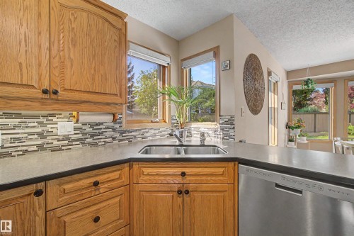 711 Butterworth Drive Nw, Edmonton, AB - Indoor Photo Showing Kitchen With Double Sink