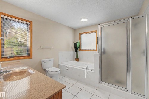 711 Butterworth Drive Nw, Edmonton, AB - Indoor Photo Showing Bathroom