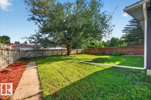 11604 35 Avenue Nw, Edmonton, AB - Outdoor With Backyard