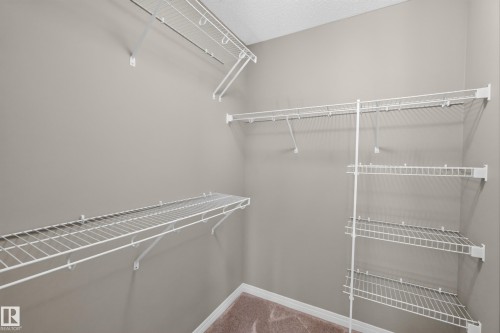 Walk in closet - 3139 Carpenter Landing Sw, Edmonton, AB - Indoor With Storage