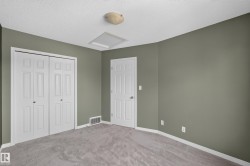 Room featuring neutral gray carpeting and olive green wall paint - 