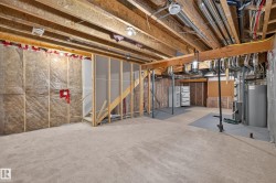 Basement - 