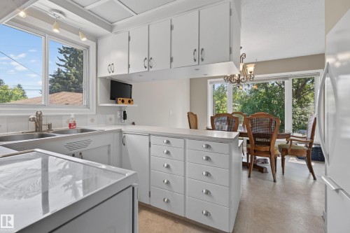 11303 115 Street Nw, Edmonton, AB - Indoor Photo Showing Kitchen With Double Sink