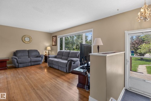11303 115 Street Nw, Edmonton, AB - Indoor Photo Showing Living Room
