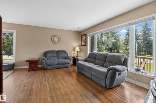 11303 115 Street Nw, Edmonton, AB - Indoor Photo Showing Living Room