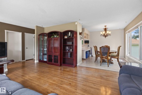 11303 115 Street Nw, Edmonton, AB - Indoor Photo Showing Living Room