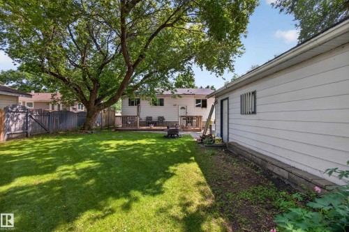 Spacious backyard featuring a substantial mature tree, a manicured lawn, a wooden privacy fence, a raised wooden deck, and a detached white siding structure - 8310 99 Avenue, Fort Saskatchewan, AB - Outdoor With Exterior