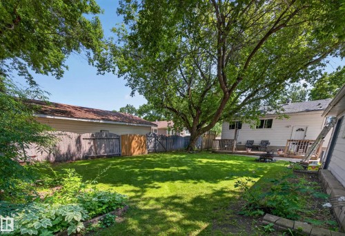 Spacious backyard featuring a manicured lawn, established trees providing ample shade, a wood privacy fence, and a rear deck - 8310 99 Avenue, Fort Saskatchewan, AB - Outdoor With Backyard