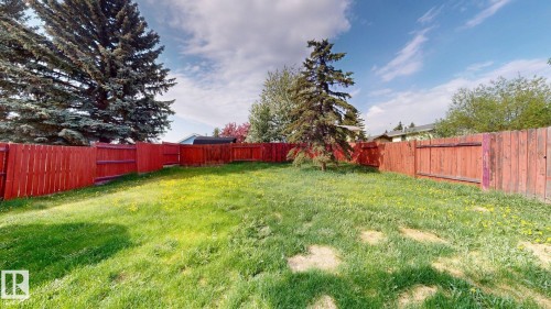 Expansive grassy yard with mature evergreen trees and a perimeter wood fence - 4912 34A Avenue, Edmonton, AB - Outdoor With Backyard