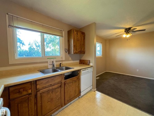 5955 40 Avenue Nw, Edmonton, AB - Indoor Photo Showing Kitchen With Double Sink