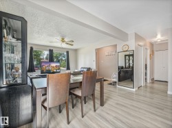 Open-concept living area featuring wood-finish flooring, a ceiling fan with integrated lighting, and multiple windows - 