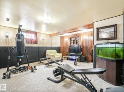 Carpeted recreation room featuring wood paneling, wall sconces, and built-in shelving - 