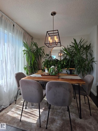 Dining area featuring wood-finish flooring, a contemporary geometric pendant light, and sheer window treatments - 491 Ebbers Way, Edmonton, AB 