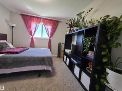 Room featuring light gray carpet flooring and a single window with sheer red drapes - 