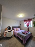 Carpeted room featuring a window with a white frame, a built-in ceiling light fixture, and neutral-toned walls - 