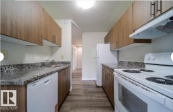 Galley kitchen featuring wood-finish cabinetry, speckled countertops, stainless steel sink, and white appliances including a dishwasher, refrigerator, and range with overhead exhaust - 