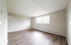 Spacious room featuring wood-finish flooring, light-toned wall paint, a large window, and baseboard heating - 