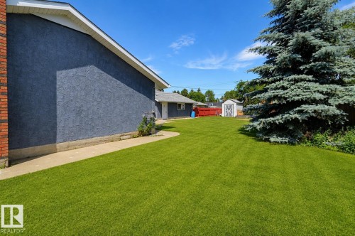 Expansive lawn area featuring a mature evergreen tree - 8716 130 Avenue Nw, Edmonton, AB - Outdoor