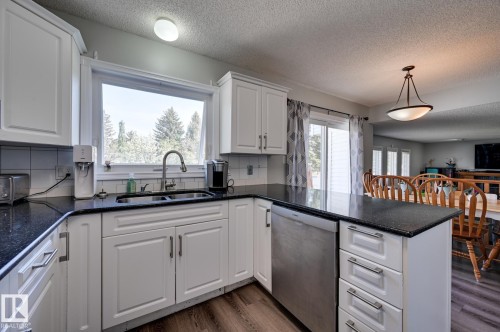 5507 179 Street, Edmonton, AB - Indoor Photo Showing Kitchen With Double Sink