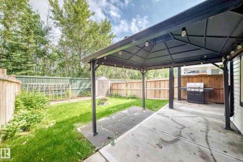 Spacious backyard featuring a concrete patio, covered gazebo with string lighting, a storage shed, and mature trees - 22270 99A Avenue Nw, Edmonton, AB - Outdoor