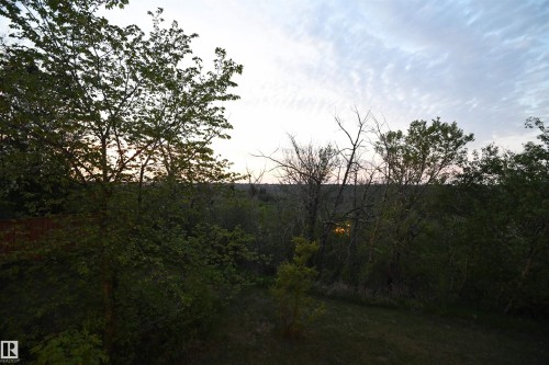 The evening view from the elevated deck - 4108 106B Avenue, Edmonton, AB - Outdoor