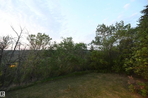 There is no view from the rear of the home that does not captivate.  This truly is a property that needs to be experienced in person - 4108 106B Avenue, Edmonton, AB - Outdoor