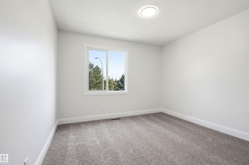 Bright room with a large window, plush gray carpeting, white baseboards, and a flush-mount ceiling light fixture - 14335 47 Avenue Nw, Edmonton, AB - Indoor Photo Showing Other Room