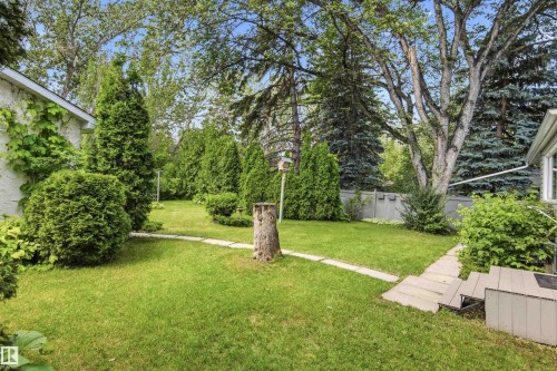 Expansive green lawn with mature trees and established perimeter shrubbery - 14335 47 Avenue Nw, Edmonton, AB - Outdoor
