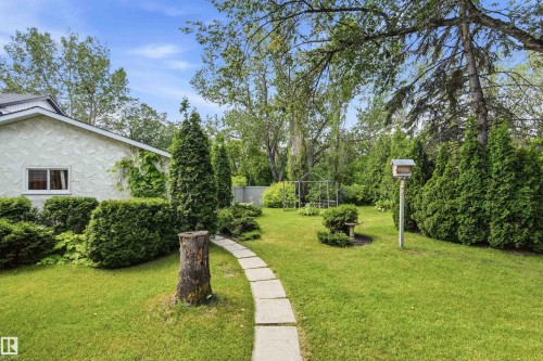 Expansive lawn area featuring a stone paver pathway, mature trees, and established shrubs - 14335 47 Avenue Nw, Edmonton, AB - Outdoor