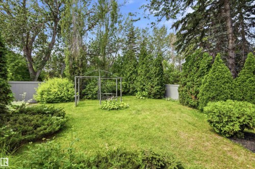 Expansive green lawn surrounded by mature trees and shrubs, featuring a metal gazebo structure - 14335 47 Avenue Nw, Edmonton, AB - Outdoor