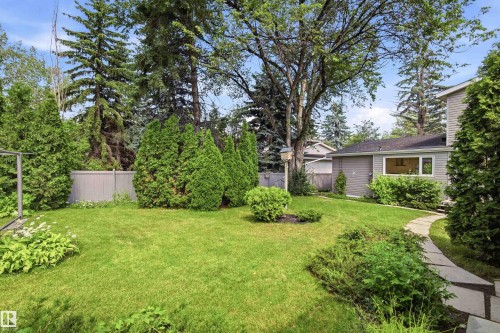 Expansive lawn surrounded by mature trees and shrubs - 14335 47 Avenue Nw, Edmonton, AB - Outdoor