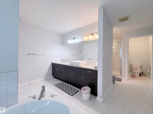 Bathroom - 5876 168 Avenue Nw, Edmonton, AB - Indoor Photo Showing Bathroom