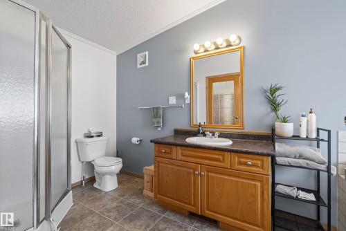 547 Evergreen Park Northwest, Edmonton, AB - Indoor Photo Showing Bathroom