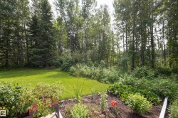 Expansive backyard featuring a manicured lawn, dedicated garden beds, and mature surrounding trees - 