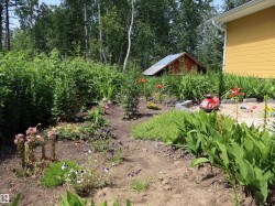 Landscaped garden featuring diverse plantings, flowering flora, and a designated sandbox area - 