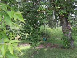 Shaded yard area featuring mature trees and a swing - 
