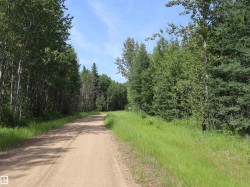 Gravel road bordered by lush green grass and mature trees - 