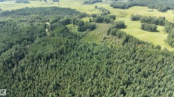 Expansive land parcel featuring dense forest and open grassy areas - 