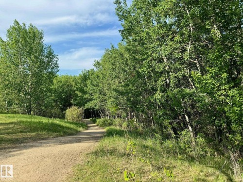 777 Butterworth Drive Nw, Edmonton, AB - Outdoor With View