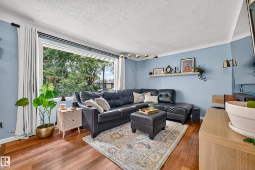 7530 80 Avenue Nw, Edmonton, AB - Indoor Photo Showing Living Room