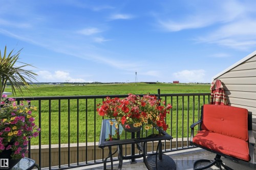 #117 7293 South Terwillegar Dr Nw, Edmonton, AB - Outdoor With Deck Patio Veranda With Exterior